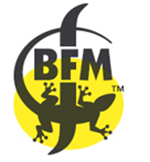 bfm bier